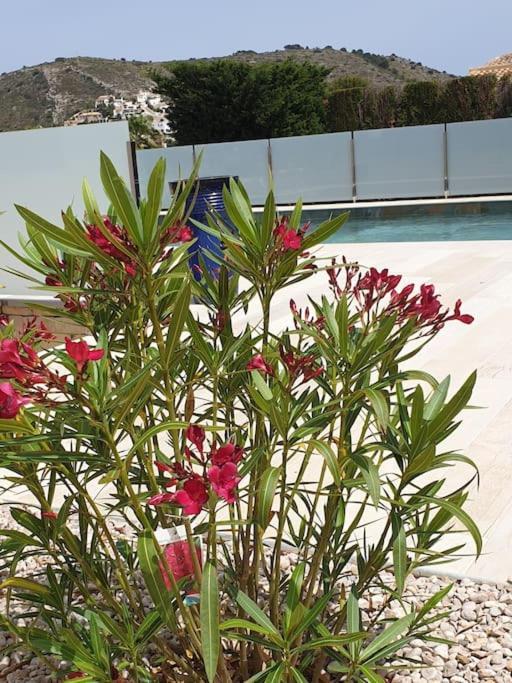 Casa Osimos Portet 450 M Moraira Exterior foto